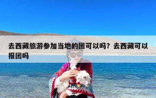 去西藏旅游参加当地的团可以吗？去西藏可以报团吗