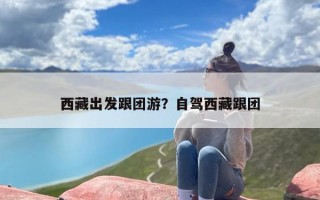 西藏出发跟团游？自驾西藏跟团