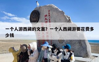 一个人游西藏的文案？一个人西藏游要花费多少钱