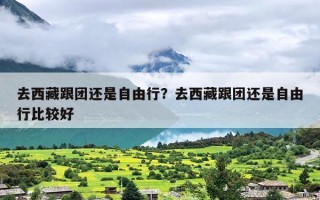 去西藏跟团还是自由行？去西藏跟团还是自由行比较好