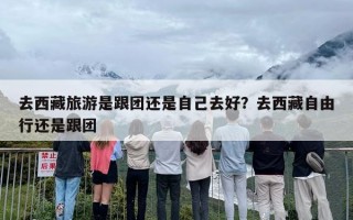 去西藏旅游是跟团还是自己去好？去西藏自由行还是跟团
