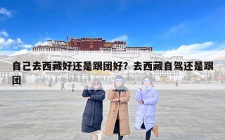 自己去西藏好还是跟团好？去西藏自驾还是跟团