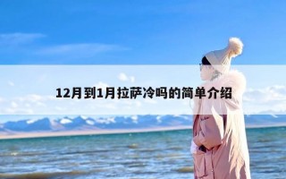 12月到1月拉萨冷吗的简单介绍