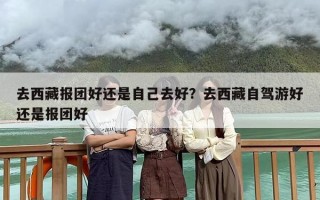 去西藏报团好还是自己去好？去西藏自驾游好还是报团好