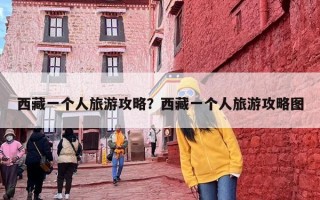 西藏一个人旅游攻略？西藏一个人旅游攻略图