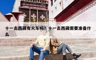 十一去西藏有火车吗？十一去西藏需要准备什么