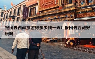 报团去西藏旅游得多少钱一天？报团去西藏好玩吗