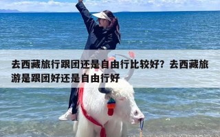 去西藏旅行跟团还是自由行比较好？去西藏旅游是跟团好还是自由行好