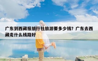 广东到西藏报旅行社旅游要多少钱？广东去西藏走什么线路好
