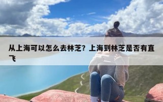 从上海可以怎么去林芝？上海到林芝是否有直飞