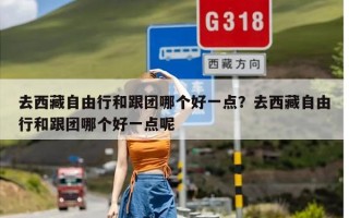 去西藏自由行和跟团哪个好一点？去西藏自由行和跟团哪个好一点呢