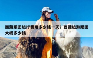 西藏跟团旅行费用多少钱一天？西藏旅游跟团大概多少钱