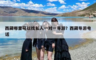 西藏哪里可以找私人一对一导游？西藏导游电话