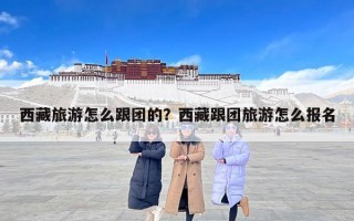 西藏旅游怎么跟团的？西藏跟团旅游怎么报名