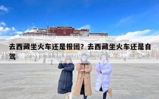 去西藏坐火车还是报团？去西藏坐火车还是自驾