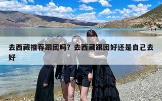 去西藏推荐跟团吗？去西藏跟团好还是自己去好