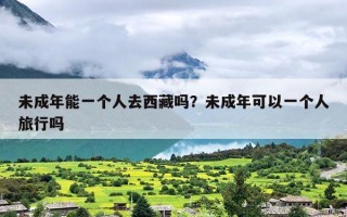 未成年能一个人去西藏吗？未成年可以一个人旅行吗