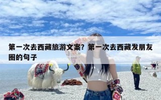 第一次去西藏旅游文案？第一次去西藏发朋友圈的句子