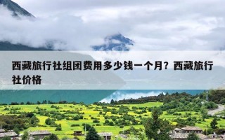 西藏旅行社组团费用多少钱一个月？西藏旅行社价格
