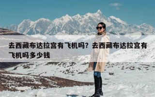 去西藏布达拉宫有飞机吗？去西藏布达拉宫有飞机吗多少钱
