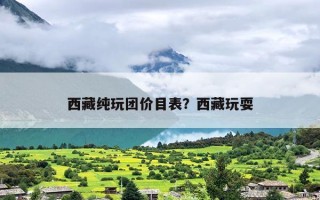 西藏纯玩团价目表？西藏玩耍