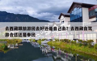 去西藏跟旅游团去好还是自己去？去西藏自驾游合适还是参团