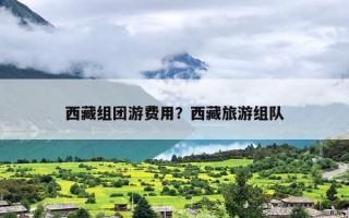 西藏组团游费用？西藏旅游组队