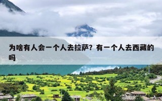 为啥有人会一个人去拉萨？有一个人去西藏的吗