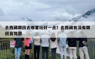 去西藏跟团去哪里玩好一点？去西藏有没有跟团自驾游