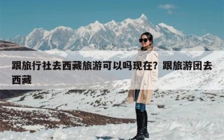 跟旅行社去西藏旅游可以吗现在？跟旅游团去西藏