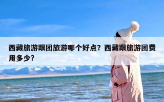 西藏旅游跟团旅游哪个好点？西藏跟旅游团费用多少?