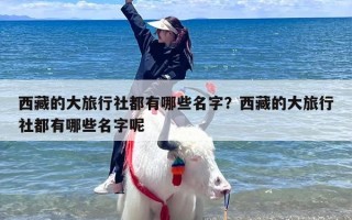西藏的大旅行社都有哪些名字？西藏的大旅行社都有哪些名字呢