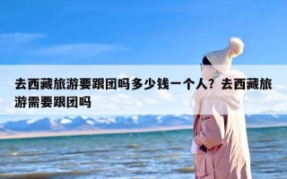 去西藏旅游要跟团吗多少钱一个人？去西藏旅游需要跟团吗