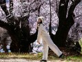西藏桃花最好看的地方在哪里