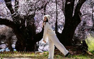 西藏桃花最好看的地方在哪里