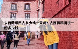 去西藏跟团去多少钱一天啊？去西藏跟团玩一趟多少钱