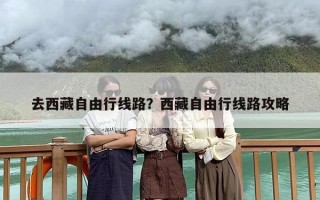 去西藏自由行线路？西藏自由行线路攻略