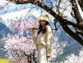 四月去西藏还看得见桃花么