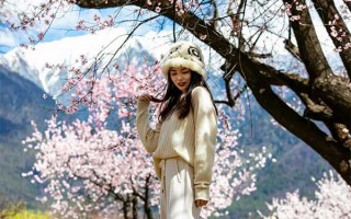 四月去西藏还看得见桃花么