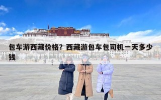 包车游西藏价格？西藏游包车包司机一天多少钱