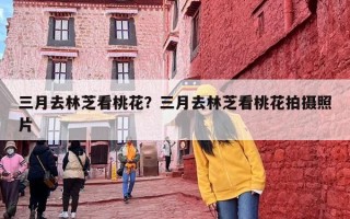 三月去林芝看桃花？三月去林芝看桃花拍摄照片