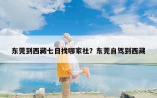 东莞到西藏七日找哪家社？东莞自驾到西藏