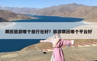 跟团旅游哪个旅行社好？旅游跟团哪个平台好