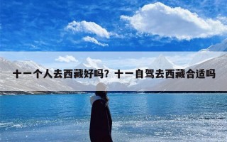 十一个人去西藏好吗？十一自驾去西藏合适吗