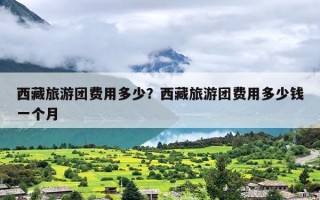 西藏旅游团费用多少？西藏旅游团费用多少钱一个月