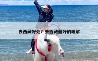 去西藏好处？去西藏最好的理解