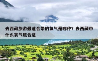 去西藏旅游最适合带的氧气是哪种？去西藏带什么氧气瓶合适