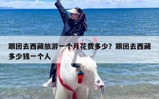 跟团去西藏旅游一个月花费多少？跟团去西藏多少钱一个人