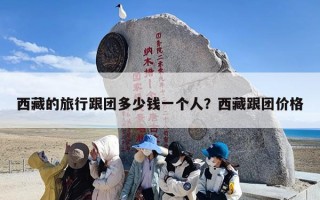 西藏的旅行跟团多少钱一个人？西藏跟团价格