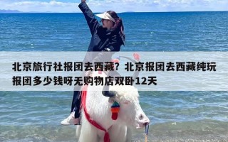 北京旅行社报团去西藏？北京报团去西藏纯玩报团多少钱呀无购物店双卧12天